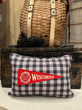 Load image into Gallery viewer, UW Madison Vintage Pennant Pillow
