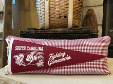 Load image into Gallery viewer, South Carolina Pennant Pillow
