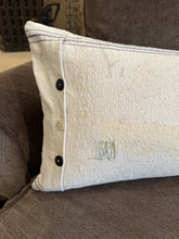 Load image into Gallery viewer, Custom Horse Bit Pillow
