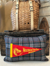 Load image into Gallery viewer, State Fair Vintage Pennant Pillow

