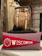 Load image into Gallery viewer, UW Madison Vintage Pennant Pillow
