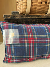 Load image into Gallery viewer, Eagle River Vintage Pennant w Feathers Pillow
