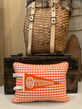 Load image into Gallery viewer, Tennessee Vintage Pennant Pillow

