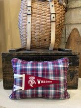Load image into Gallery viewer, "UW Bucky" Vintage Pennant Pillow Thrifted shirt, new poly insert, vintage pennant, custom piping, 12x16
