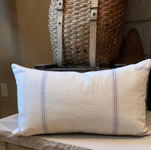 Load image into Gallery viewer, &quot;Cincinnati Seamless&quot; Grainsack Pillow
