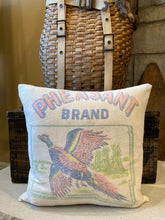 Load image into Gallery viewer, Pheasant Brand Seeds sack pillow, vintage ticking back with zipper closure, 20x20 down insert
