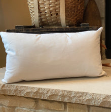 Load image into Gallery viewer, "WI Home" Pennant Pillow - new pillow &amp; insert, new pennant,
