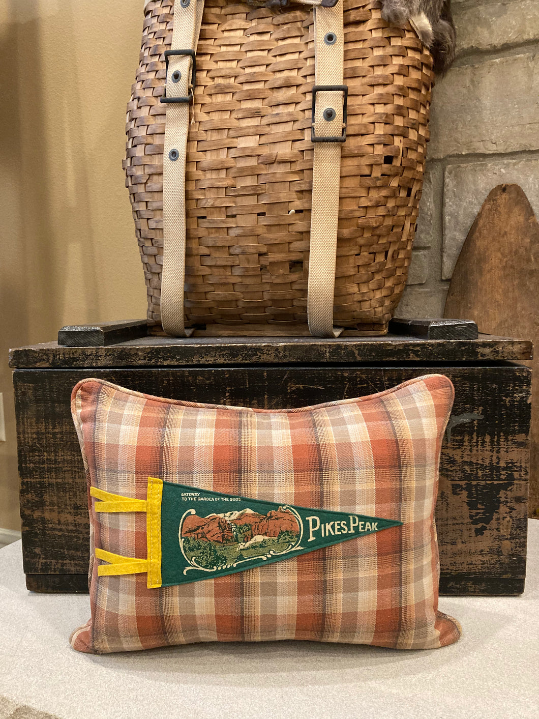 Pikes Peak Vintage Pennant Pillow Thrifted shirt