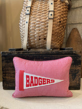 Load image into Gallery viewer, &quot;Badgers&quot; Vintage Pennant Pillow
