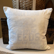 Load image into Gallery viewer, &quot;Badger Brand&quot; Grainsack Pillow

