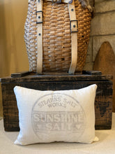 Load image into Gallery viewer, Stearns Salt Works sack, new ticking fabric with button back closure, 12x16 polyfil insert
